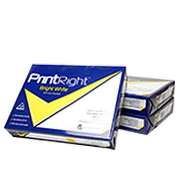 Copy & Multipurpose Paper