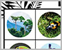 “Rainforest BINGO” free player 3 printable thumbnail