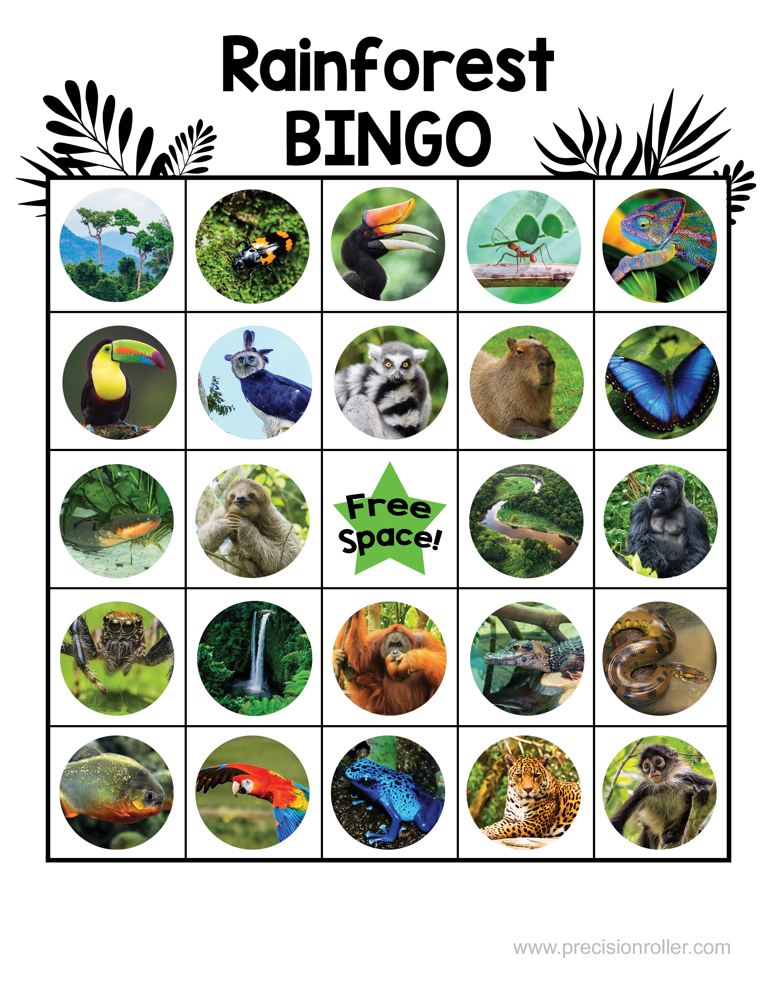 Rainforest Free Printable Bingo Cards Precision Printables