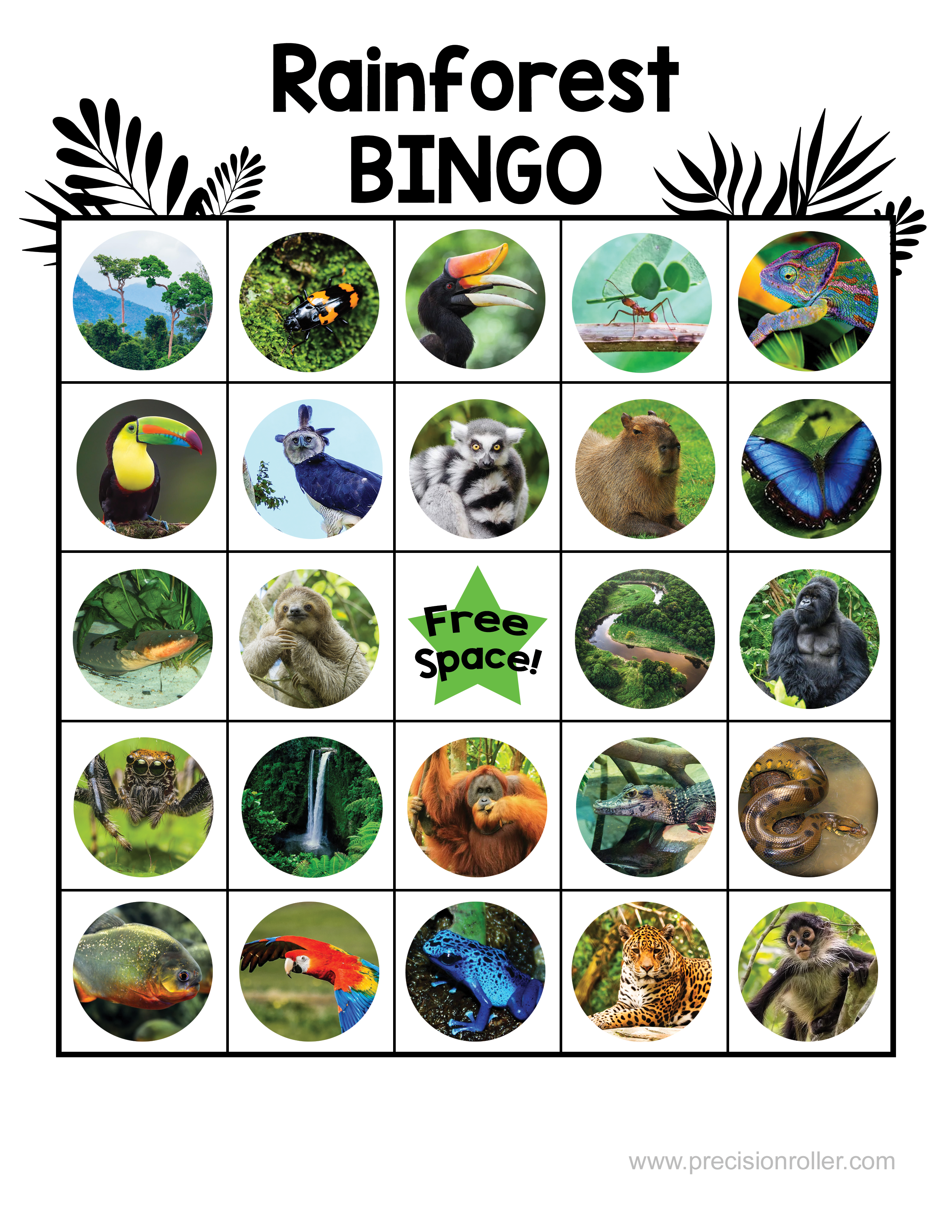 Free Printable Pictures Of Rainforest Animals Printable Udlvirtual