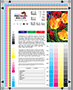 FREE Color Printer Test Chart from Precision Roller