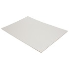 Konica Minolta A143-1123-01 White Sheet