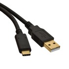 10' USB 2.0 A Male to C Male (large photo)