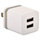 Stelech STWC2A2P-USB-WS White & Silver USB Wall Charger
