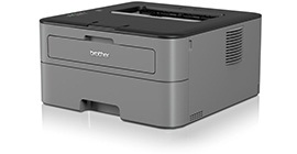 Brother HL-L2300D