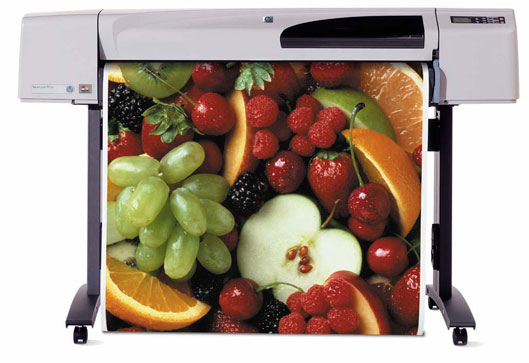 HP DesignJet 500 C7770B