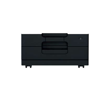 Konica Minolta PC113